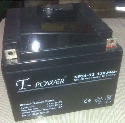 T-POWER蓄电池12V24AH