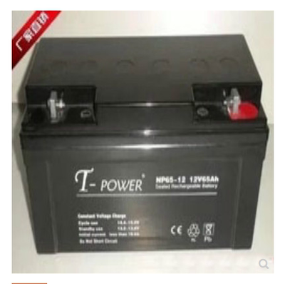 T-POWER蓄电池12V65AH